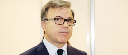 Nazir: "Azərbaycanda yeni zeytun bağları salınacaq"