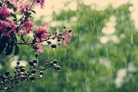 İyun yağışları bəzi məhsulları bahalaşdıra bilər