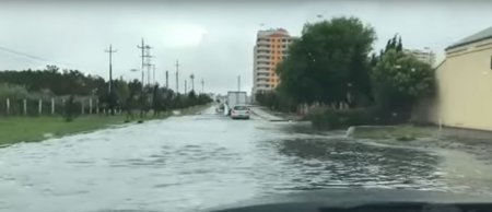 Sonra deməyin, uşaqlar niyə zəhərlənir?