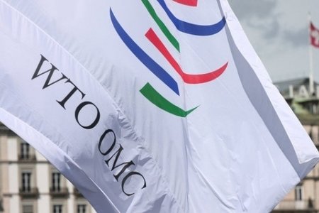 Azərbaycan Ümumdünya Ticarət Təşkilatına niyə üzv olmur?