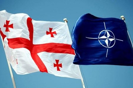 Nazir: "Gürcüstanın NATO-ya inteqrasiyası heç bir dövlətə təhlükə yaratmır"