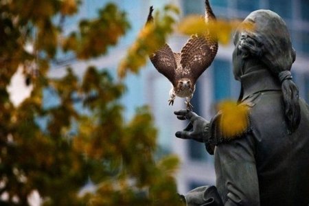 FED: Dekabrda uçot dərəcəsi artırılacaq