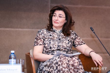 Nazir müavini: "Növbəti illərdə Azərbaycan iqtisadiyyatı daha sürətlə diversifikasiya olunacaq"