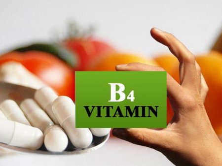 B4 vitamininin faydaları