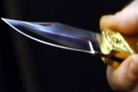 Lənkəranda evə basqın edilib, 63 yaşlı qadın qətlə yetirilib, qızı yaralanıb - Yenilənib